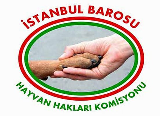 Hayvanlar için ''samimi bir koruma ve gerçek adalet'' çağrısı