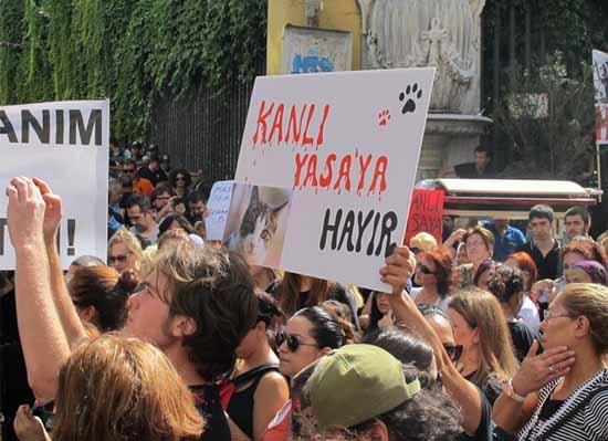 Hayvanseverlerin büyük zaferi  