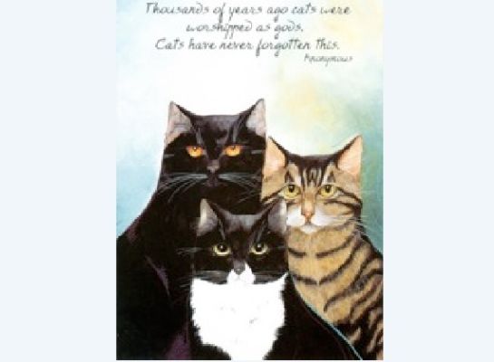 Simon’s Cat’in, kedilerin internet istilasındaki yeri ve önemi