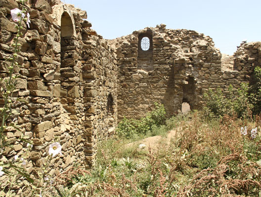 Muş Kilisesi yıkıma direniyor