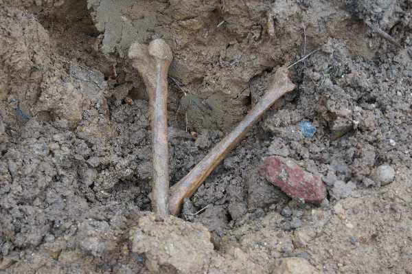 Ermeni mezarlığında define avı