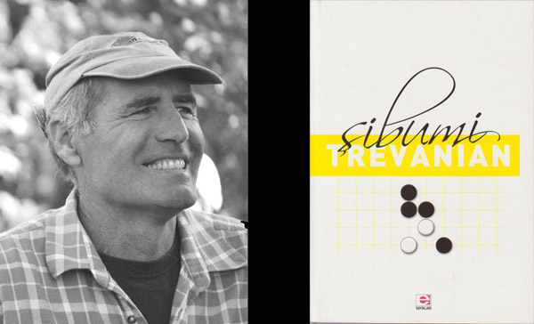 Türkiye'ye Go oyununu getirenlerin ilk ilhamı: Şibumi  