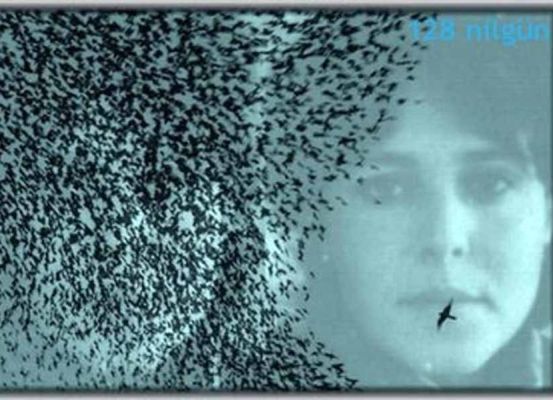 Şimdi ihtiyar bir hergele oldum