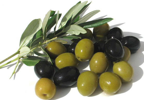 Zeytine el uzatanlar 