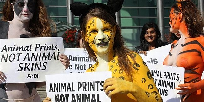 Wikileaks: 'Coca Cola, PETA'yla ilgili özel istihbarat aldı'