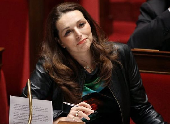 Boyer inkar yasasını tekrar gündeme getirecek  