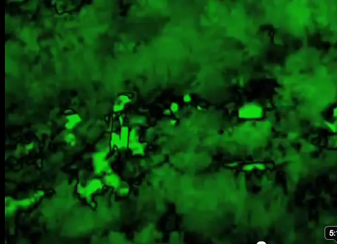 Bajar - Sî û çar 'heb' (otuzdört 'adet')