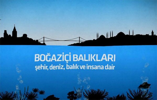 Boğaziçi Balıkları 